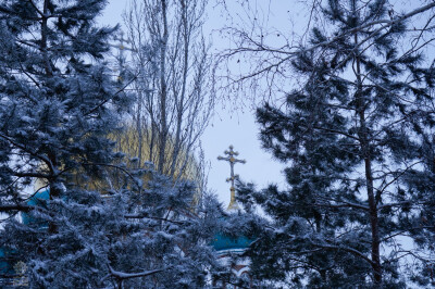 _DSC8261