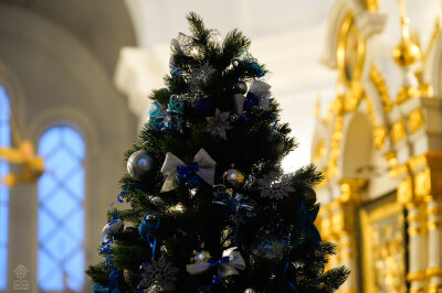 _DSC8457(1)