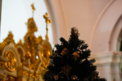_DSC9865(1)