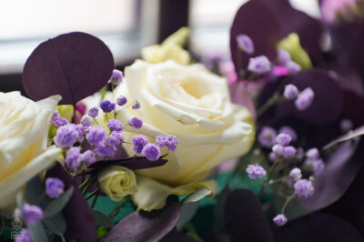 1-20(6)