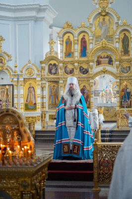 _DSC8555(1)