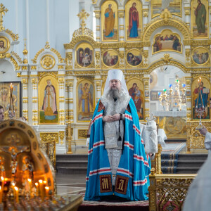 _DSC8555(1)