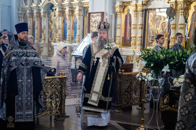 _DSC8421 (1)