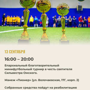 Фестиваль (4)