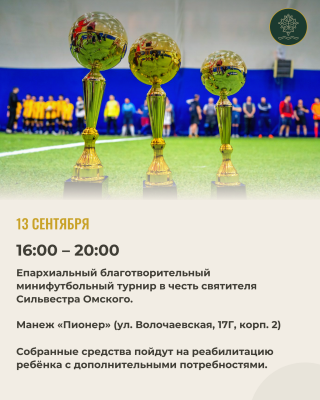 Фестиваль (4)