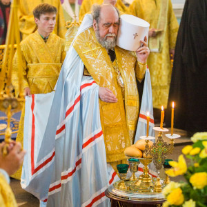 20150711 017 Праздник святых апостолов Петра и Павла Свято-Успенский каф. собор Омск митр. Владимир (Иким) 5980