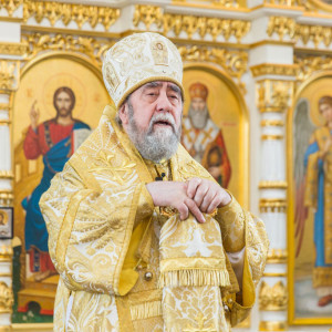 20150712 047 Праздник святых апостолов Петра и Павла Свято-Успенский каф. собор Омск митр. Владимир (Иким) IMG_6208
