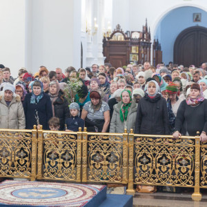20170408 008 Вход Господень в Иерусалим Собор Успения Омск митр. Владимир (Иким) IMG_8316