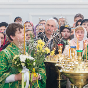 20170408 009 Вход Господень в Иерусалим Собор Успения Омск митр. Владимир (Иким) IMG_8319