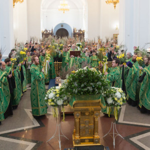 20170408 023 Вход Господень в Иерусалим Собор Успения Омск митр. Владимир (Иким) IMG_8404