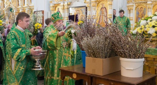 20170408 025 Вход Господень в Иерусалим Собор Успения Омск митр. Владимир (Иким) IMG_8419