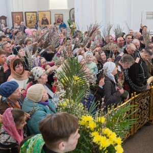 20170408 031 Вход Господень в Иерусалим Собор Успения Омск митр. Владимир (Иким) IMG_8474