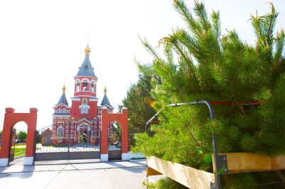 2021.05.23 высадка деревьев на приходе Николо-Игнатьевского храма(4) - копия