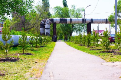 2021.05.23 высадка деревьев на приходе Николо-Игнатьевского храма(97)