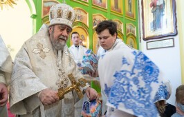 В праздник Обрезания Господня митрополит Владимир совершил Литургию в храме святителя Василия Великого