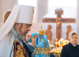 В Неделю 15-ю по Пятидесятнице митрополит Владимир совершил Литургию в Успенском кафедральном соборе