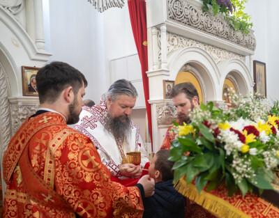 2024.06.01 Блгвв. вел. кн. Димитрия Донского и вел. кн. Евдокии, в инокинях Евфросинии (28)