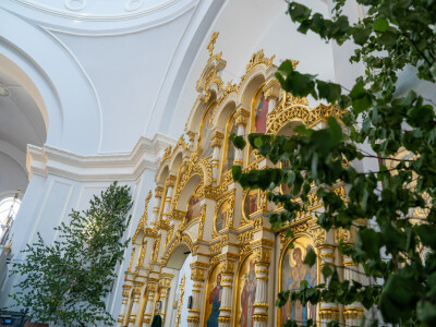 2024.06.23 День Святой Троицы. Пятидесятница (35)