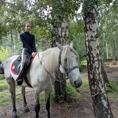 Изображение WhatsApp 2024-08-06 в 15.22.56_9a37c622