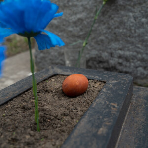 2025.04.29 п (128)