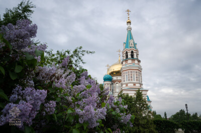 2025.05.17 С (23)