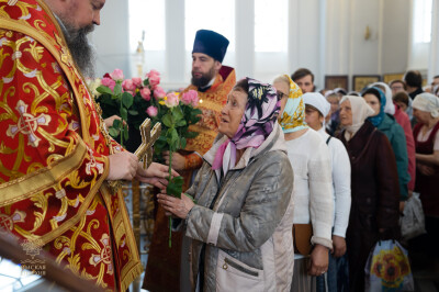 служба (27)
