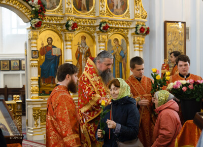 служба (29)