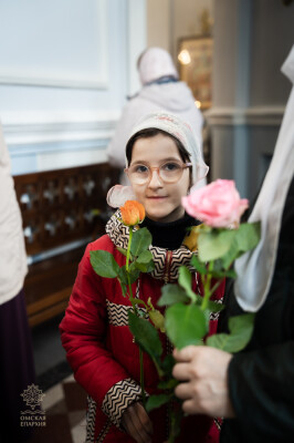 служба (42)