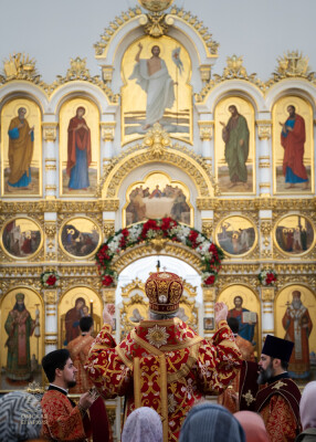 служба (76)