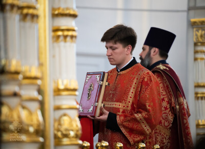 служба (80)