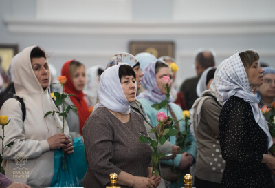 служба (97)