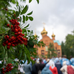 2025.08.15 Ач (61)
