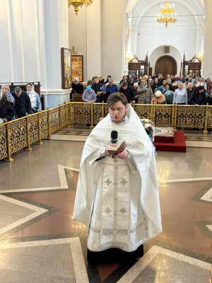 IMG_7945 (3)
