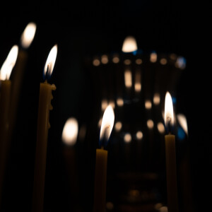 _DSC6530 (1)