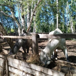 квест_11